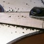 The neck surface is prepared for the fingerboard. The FB extension is not floating in this case.